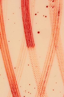 property of juengerkuehn