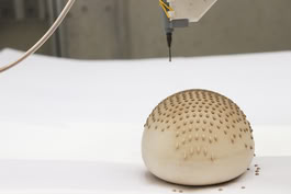 property of juengerkuehn